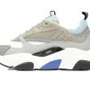 Dior B22 Rice Grey Blue