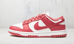 Nike Dunk Low Archeo Pink STYLE-DD1503-111