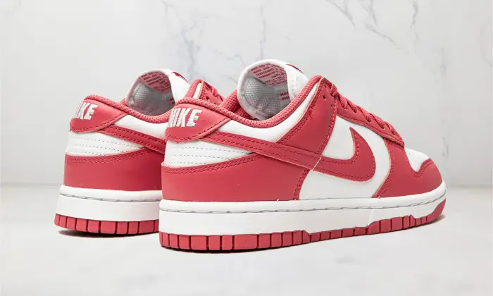 Nike Dunk Low Archeo Pink STYLE-DD1503-111(2)