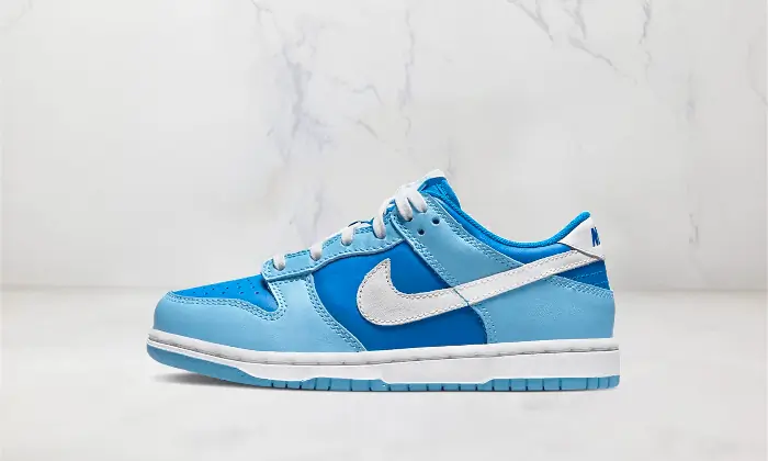 Nike Dunk Low Argon Enfant (PS) STYLE-DV2635-400