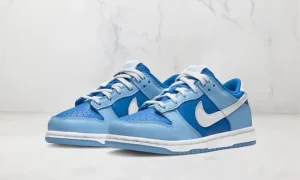 Nike Dunk Low Argon Enfant (PS) STYLE-DV2635-400(1)