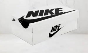 Nike Dunk Low CLOT Fragment White STYLE-FN0315-110(4)