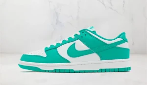 Nike Dunk Low Clear Jade STYLE-DV0833-101