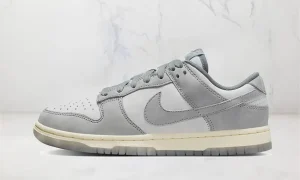 Nike Dunk Low Cool Grey Football Grey STYLE-FV1167-001