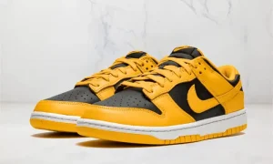 Nike Dunk Low Goldenrod STYLE-DD1391-004(1)