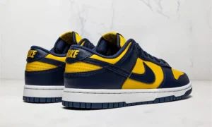 Nike Dunk Low Michigan STYLE-CW1590-700(2)