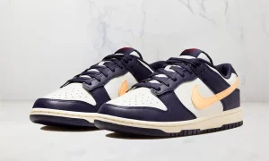 Nike Dunk Low STYLE-FV8106-181(1)