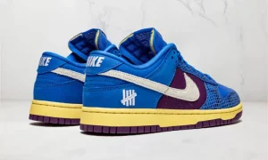 Nike Dunk Low Undefeated 5 On It STYLE-DH6508-400(2)