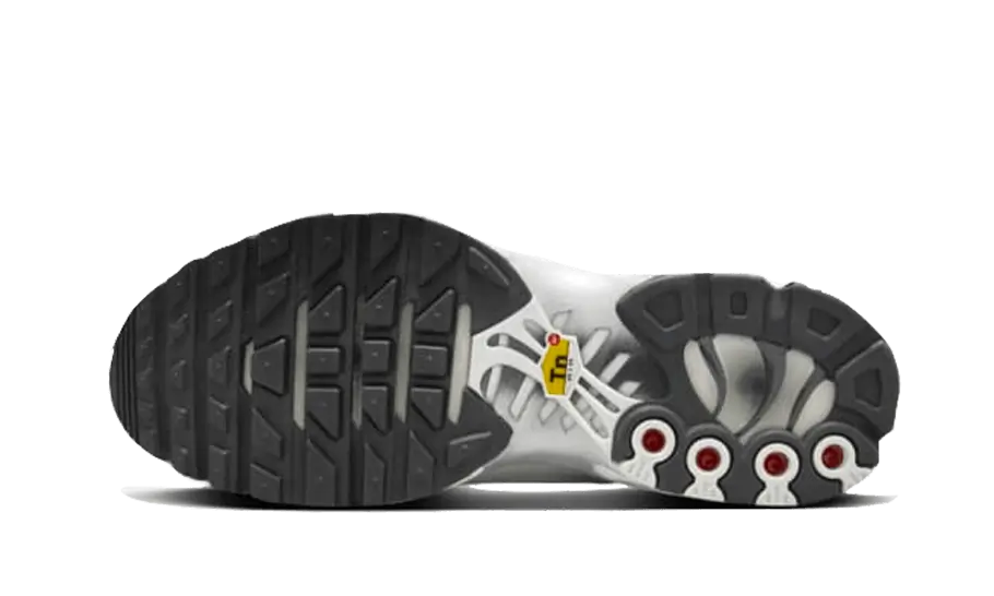 Nike Tn Air Max Plus Reflective Platinum STYLE-FZ4342-001(2)