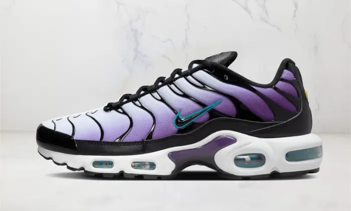 Nike Tn Air Max Plus Reverse Grape STYLE-FQ2415-500