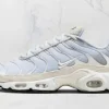 Nike Tn Air Max Plus Sail Pure Platinum Silver STYLE-FN7813-001