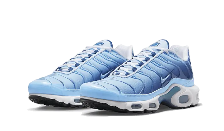 Nike Tn Air Max Plus University Blue Gradient STYLE-FJ4736-400(1)
