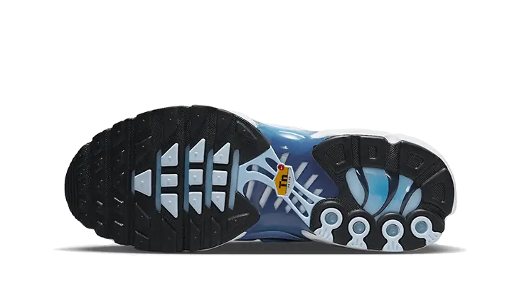 Nike Tn Air Max Plus University Blue Gradient STYLE-FJ4736-400(2)