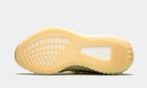 Adidas Yeezy Boost 350 V2 Antlia (Non-Reflective) STYLE-FV3250(3)