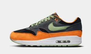 Nike Air Max 1 PRM Duck Anthracite STYLE-DZ0482-001
