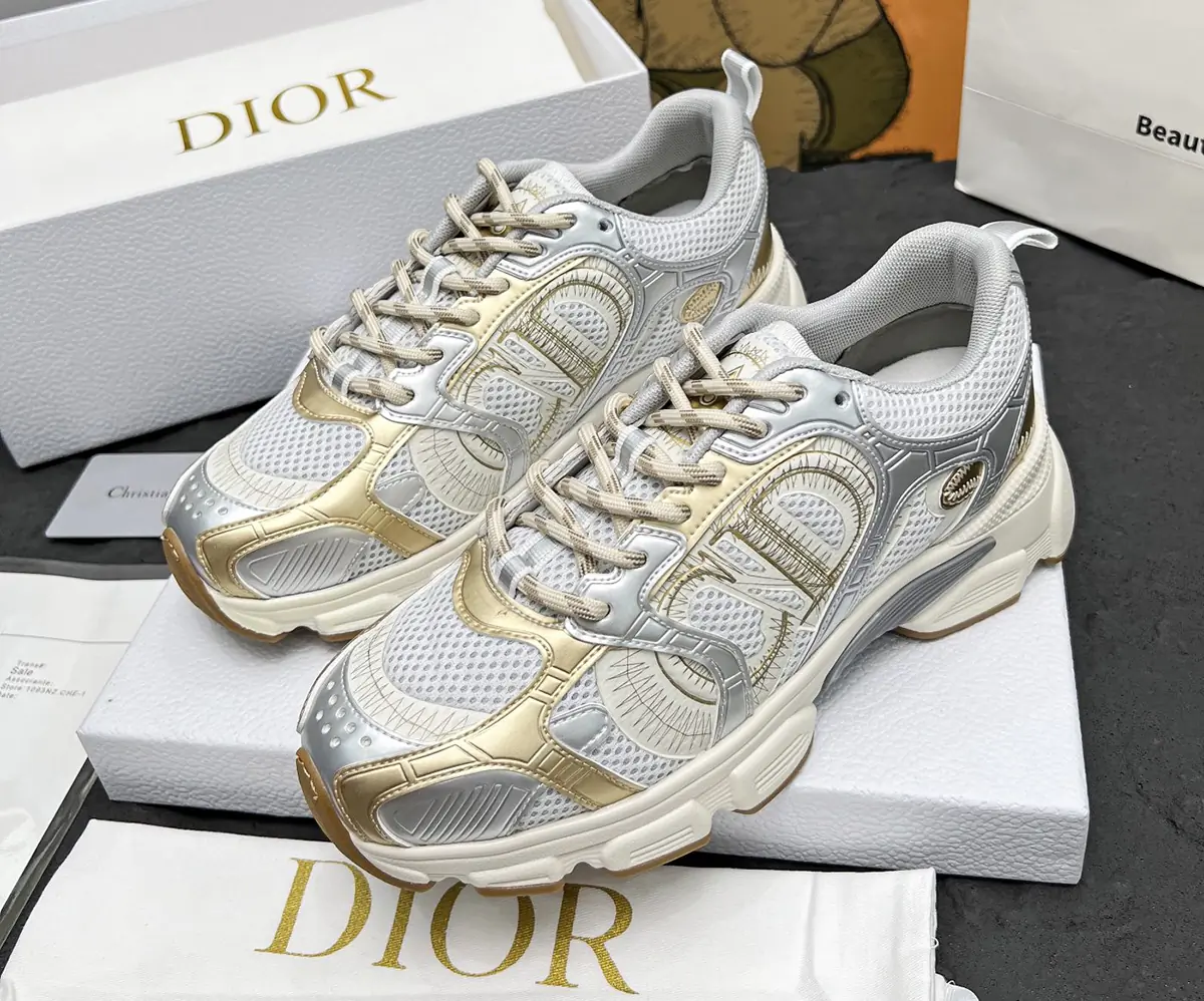 Dior Chrono Sneaker argent or