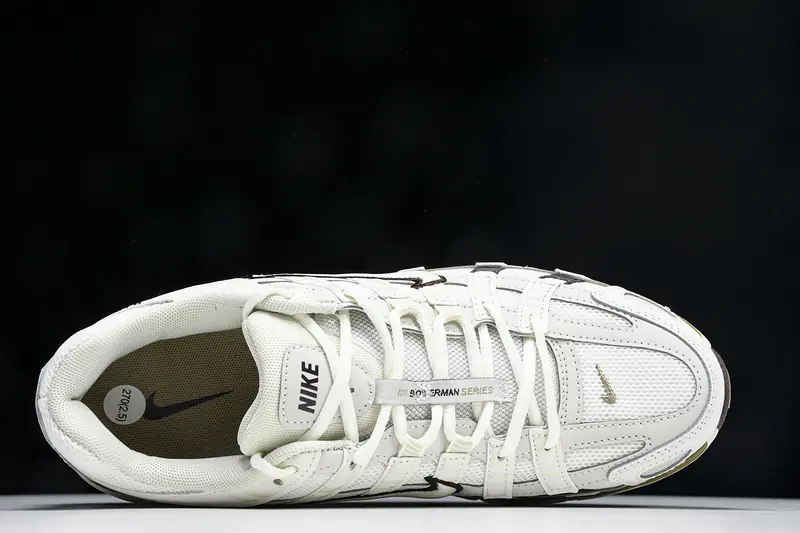 Nike P-6000 Earth Light Bone STYLE-HF0728-201(4)