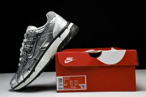 Nike P-6000 Metallic Silver STYLE-CN0149-001(6)