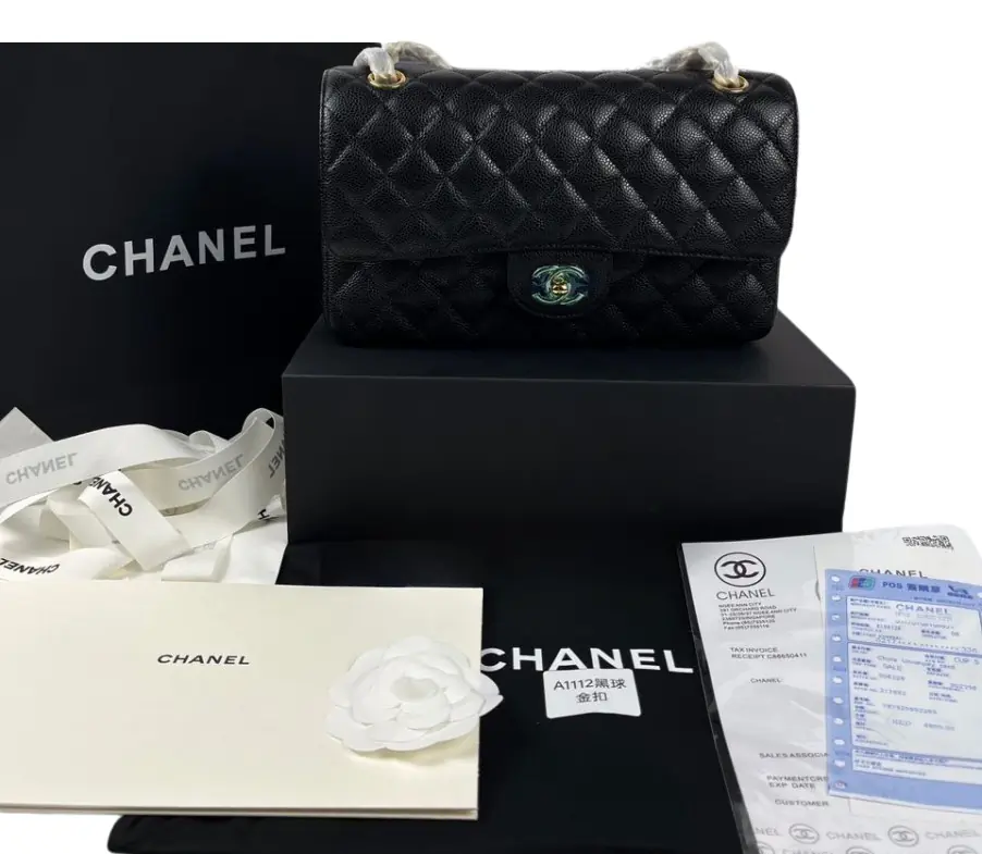 Sac A Main Chanel Timeless Classique(1)