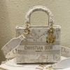 Sac A Main Dior D-Lite Medium