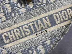 Sac A Main Dior Saddle(2)