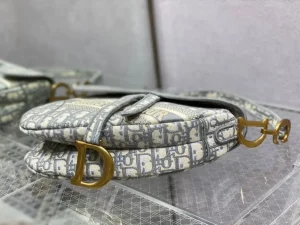 Sac A Main Dior Saddle(5)