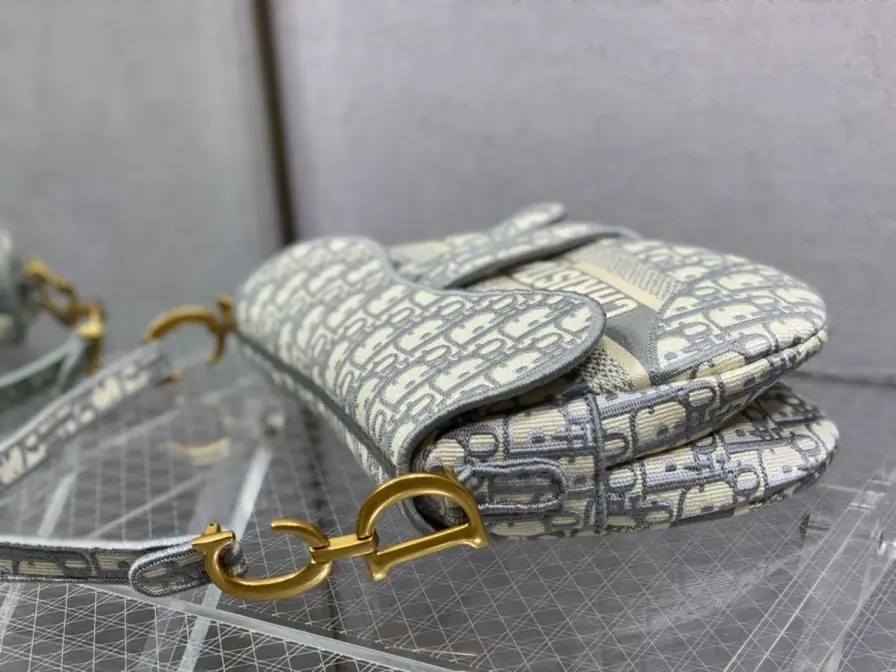 Sac A Main Dior Saddle(6)