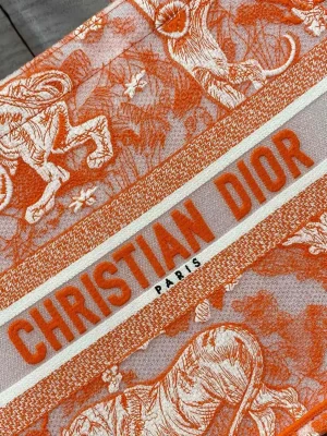 Sac A Main Dior Tote Bag Orange(1)