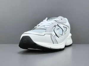 Dior B30 Blanche Gris Blue(3)