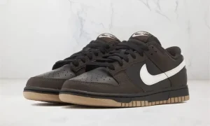 Nike Dunk Low Next Nature Velvet Brown STYLE-HF9984-001(1)